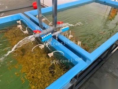 福建厦门出售海水循环养殖系统(整套) 200000元